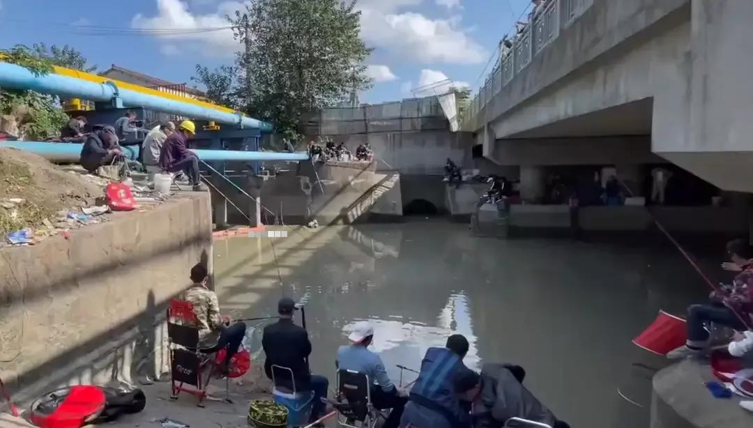 上海钓鲫鱼,一天钓几十斤鲤鱼咋办