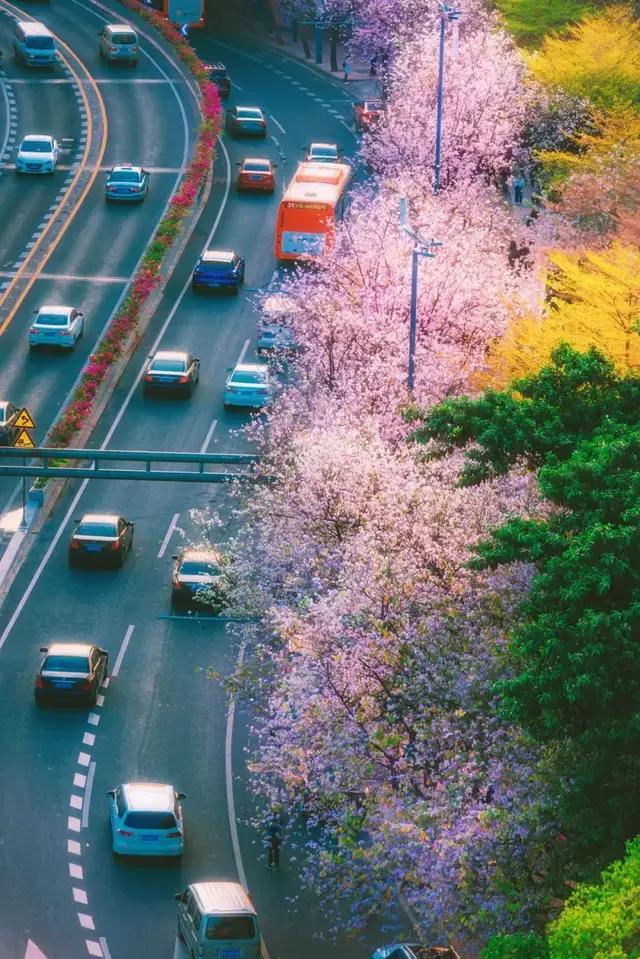 第一次相亲后对方问可以继续吗,相亲第一次见面就肢体接触正常吗