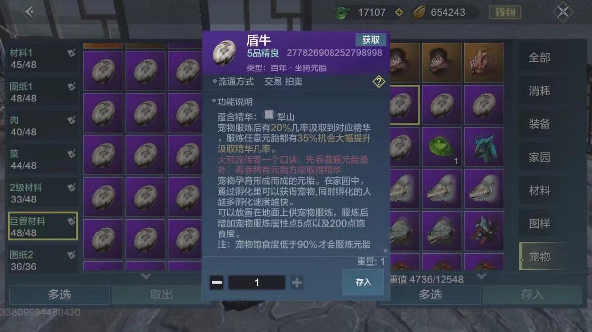 妄想山海萌新适合玩什么元素,妄想山海这款游戏到底要怎么玩