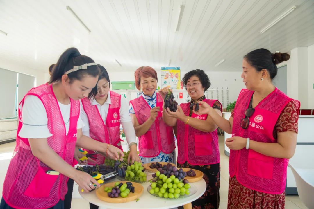 文旅资讯站|慈溪市第十六届葡萄节暨灾后复产现场会顺利举行
