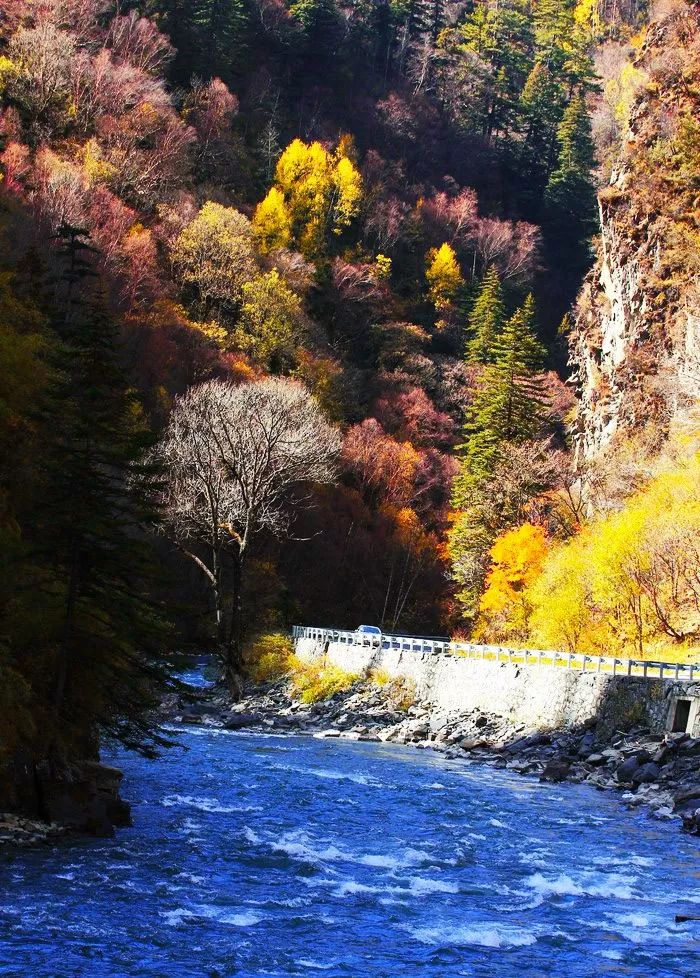 四川一条路途经全是石头的山,四川红叶一日游攻略
