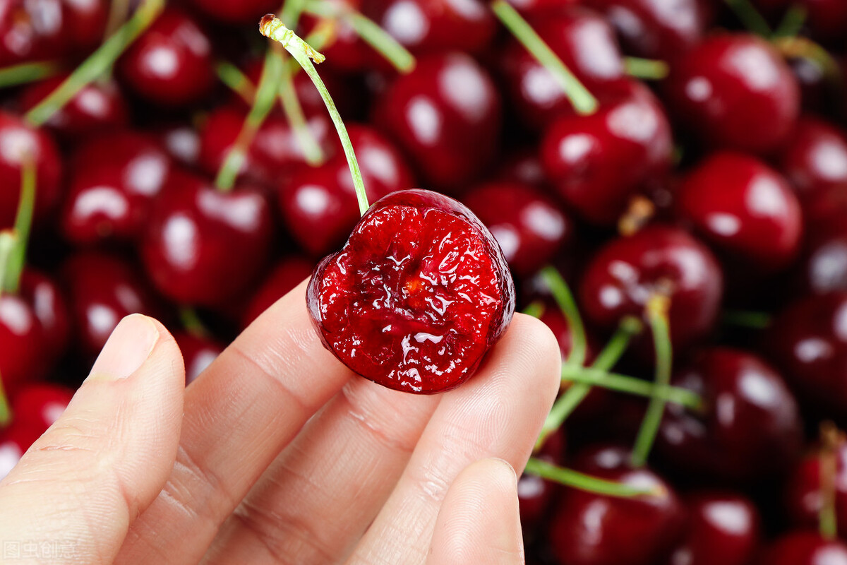 中国樱桃产业现状,中国樱桃发展趋势
