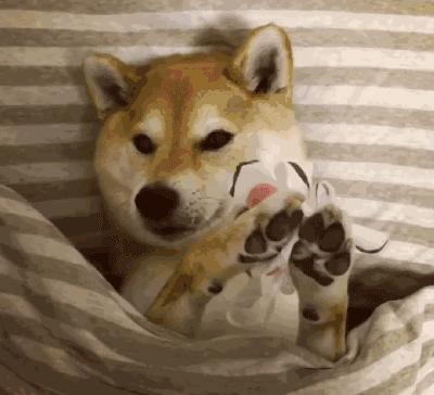 防止卡粉的面膜,容易卡粉用什么面膜