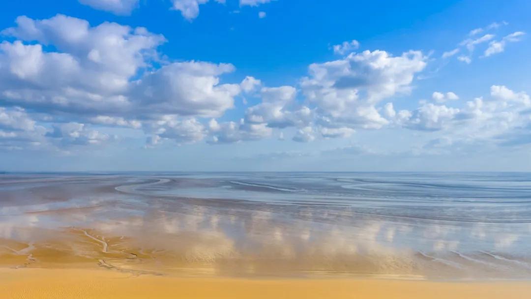 自带饭勺的鸟,自带勺子的小鸟