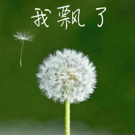 陈伟霆帅得一塌糊涂,陈伟霆不光长得帅还实力宠粉