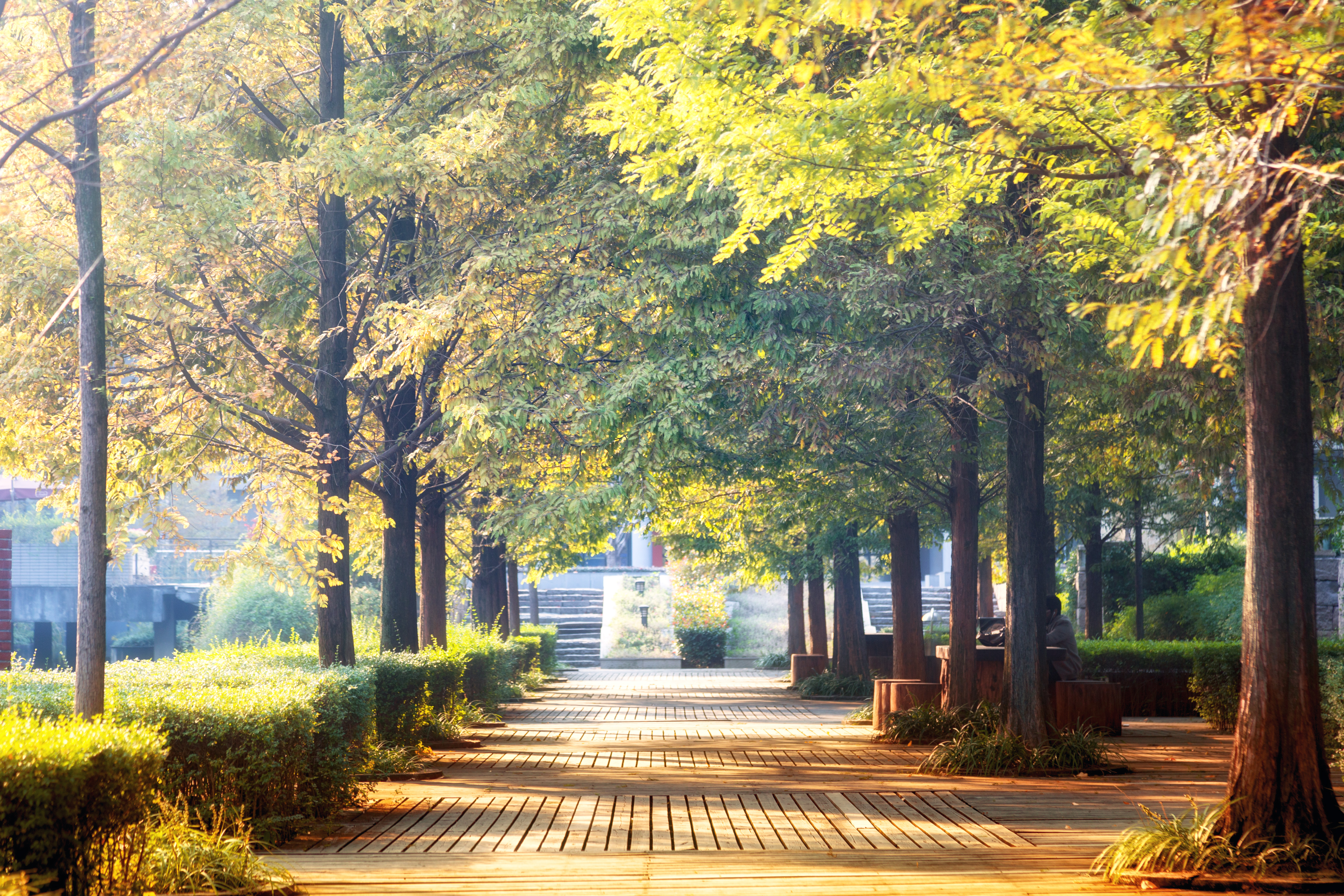 浙大发展很快,浙大为什么越来越强