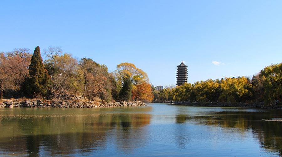 山大人工智能专业怎么样,山大的人工智能专业