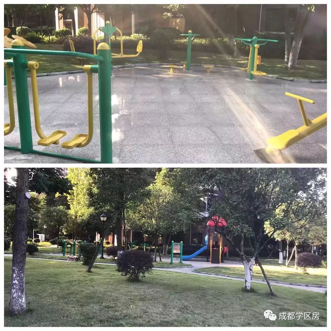 天府新区私立小学招生简章,天府新区第六小学对应初中