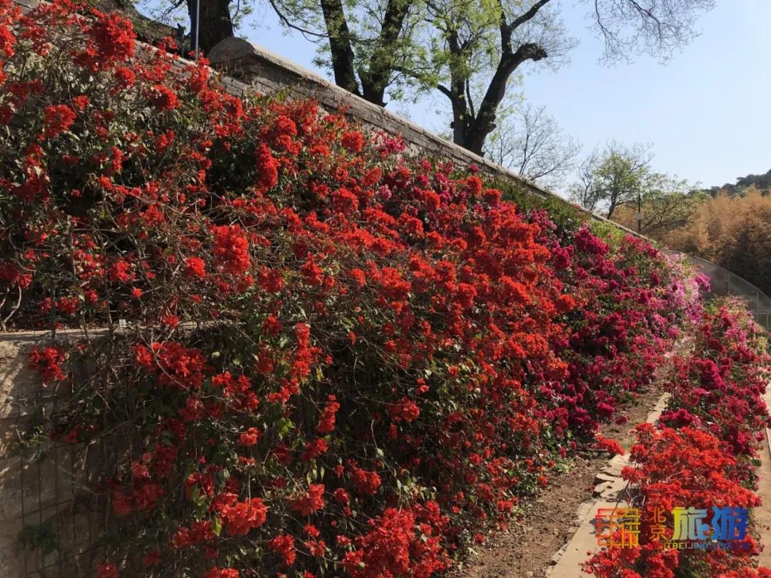 观日落的最佳世界名胜景点,中国旅游景点看日落的好地方