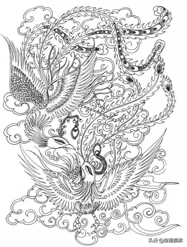 凤凰绘画中国风线稿,凤凰白描线稿特点