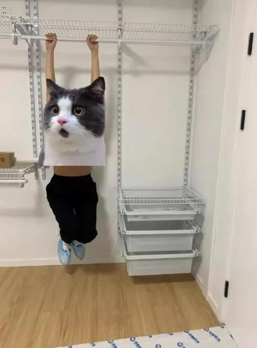 魏老板测评好莱客,魏老爸评测墙纸