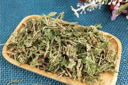 【食药科普大讲堂】不看不知道!岭南宝藏中药材图鉴(三)