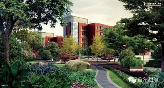 燕郊小学招生简章2022年,燕郊上私立小学还是公立