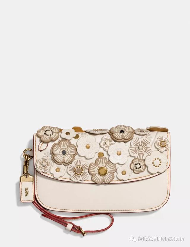 是日剁手精选002Coach蔻驰女包