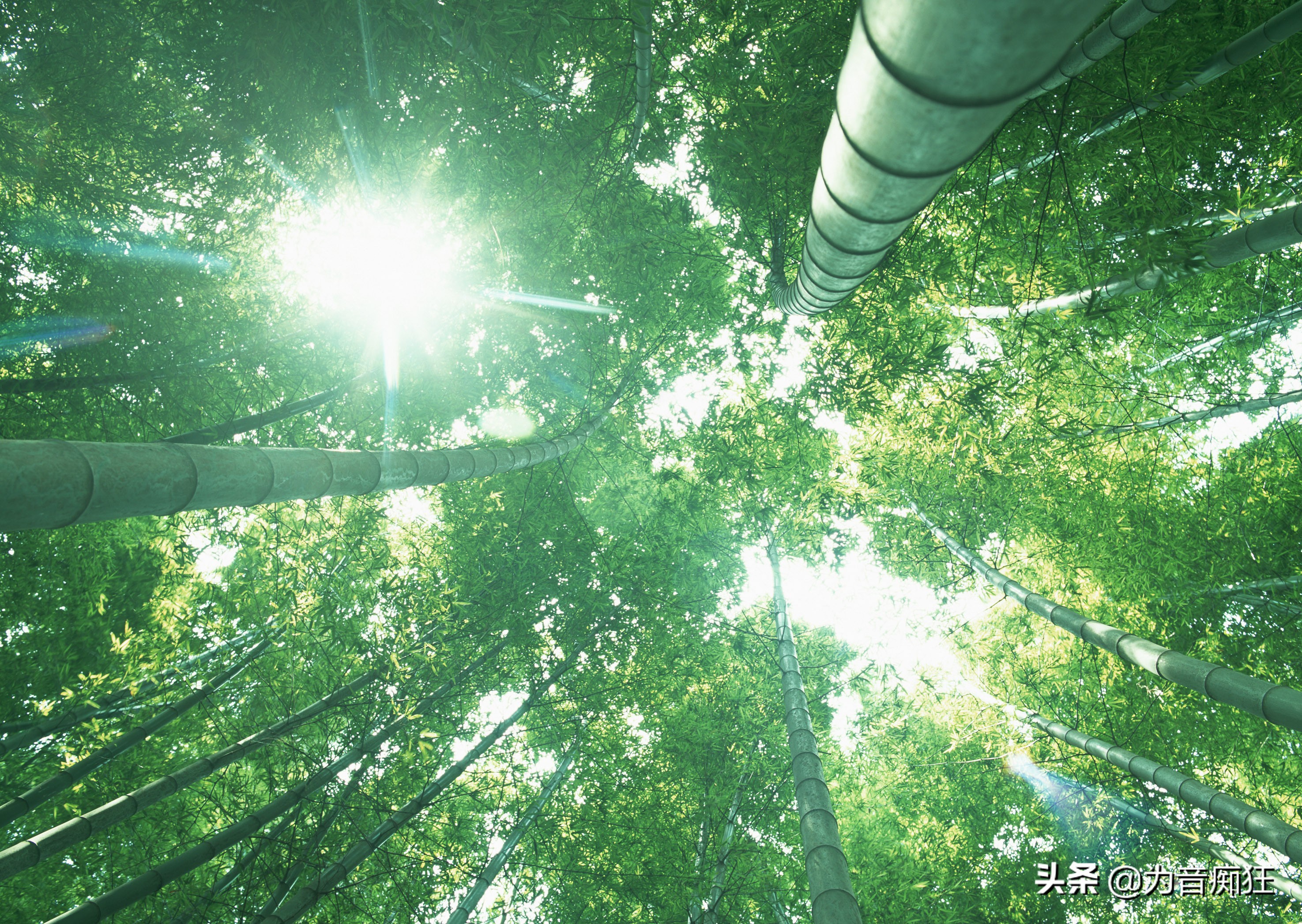 十首最好听的笛子曲谱,12首笛子曲曲谱