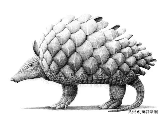 小清新素描黑白插画,看似抽象实则写实的画