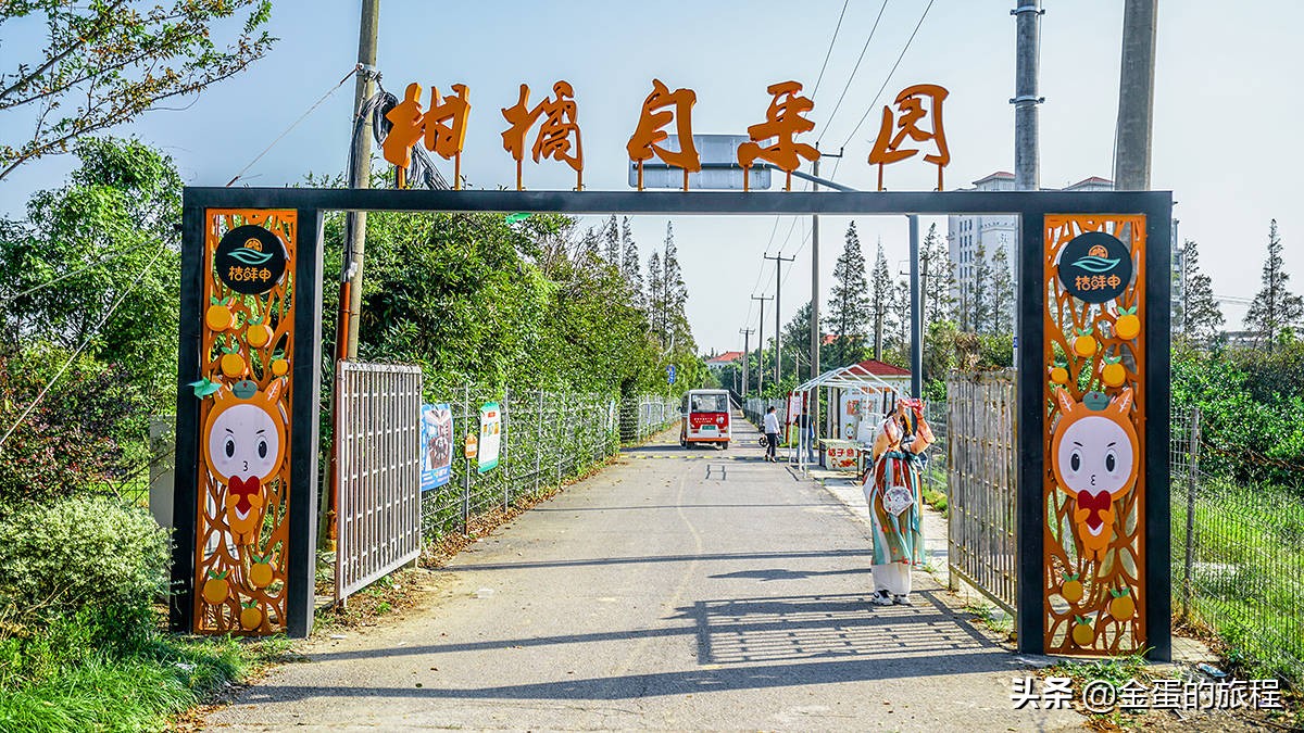 不出上海有哪些地方旅游,不出上海玩的景点排行榜