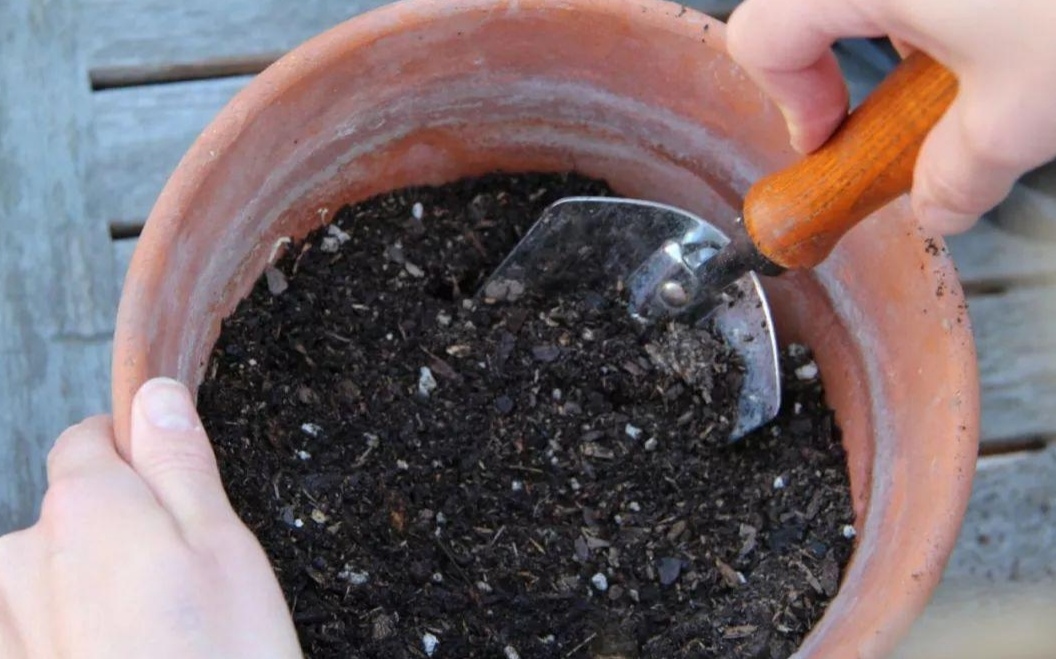 养啥花都好使不花钱的营养土,营养土哪种最好养