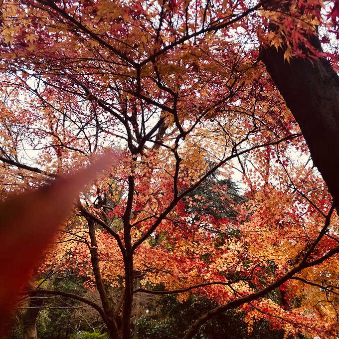 有始有终方能圆满2018年的告别行走