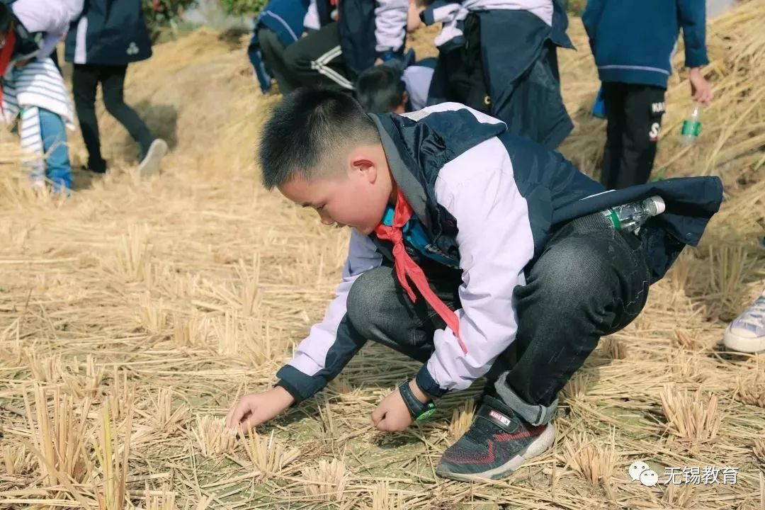翻地、播种…无锡老小将课堂搬到了田间地头
