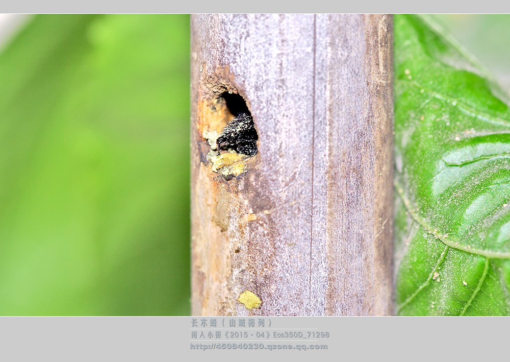 鎽勫奖绔瑰瓙鍥剧墖娆ｈ祻,鎽勫奖绔瑰瓙楂樻竻鍥剧墖
