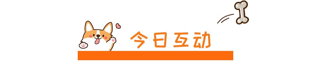 狗狗犯错时应该怎样正确教训它,狗狗犯错了用委屈的眼神看你
