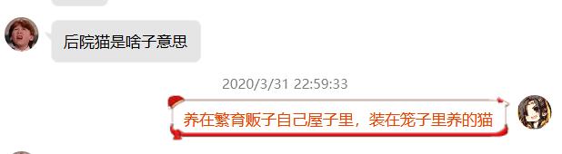 后院猫舍领养猫,养猫后院