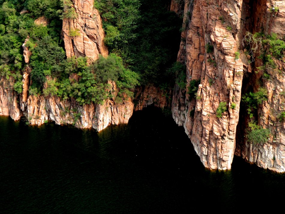 广西长寿村天然氧吧,长寿村氧吧