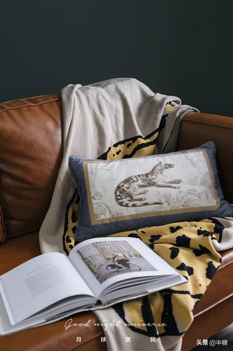 100元可以买到什么高端家具,10元以内最好用的家居小物件