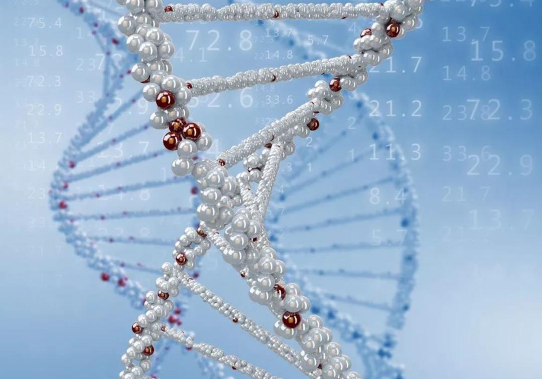 各人种之间为何不存在生殖隔离？黑种人、白种人、黄种人发展史