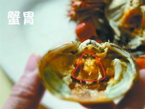 螃蟹可不可以什么都不吃,螃蟹一年四季什么时候能吃