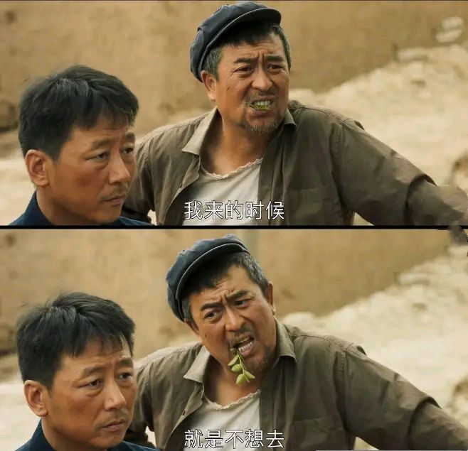 山海情大有叔把蘑菇棚烧了,山海情张嘉译尤勇经典片段