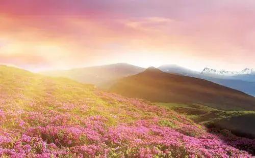 带有收藏的成语,成语归纳给孩子收藏吧