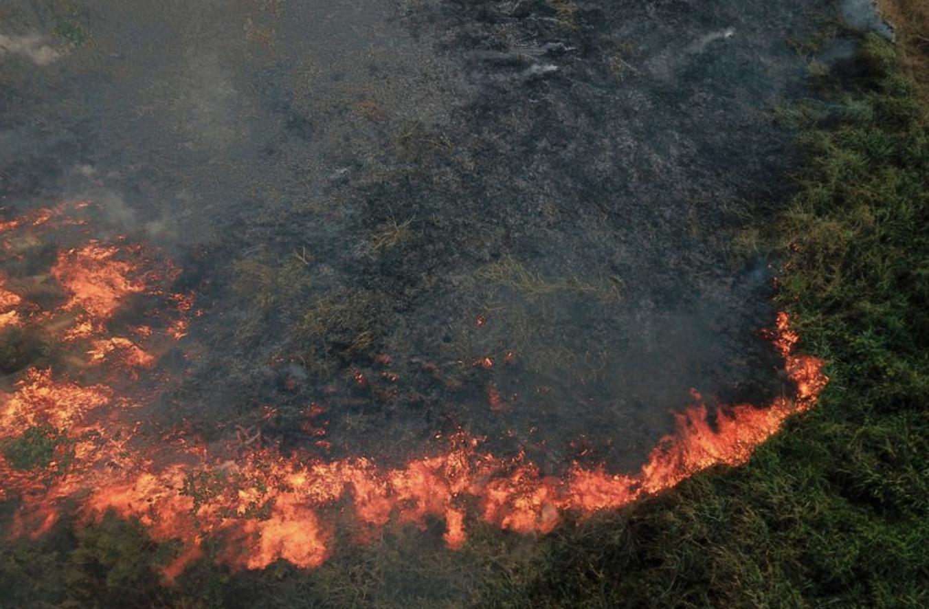 一场大火焚毁了巴西200年的历史,巴西热带雨林大火情况
