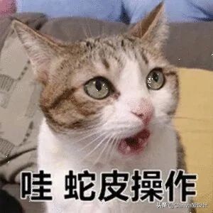 我花了180块，终于搞明白了闲鱼改简历背后的套路