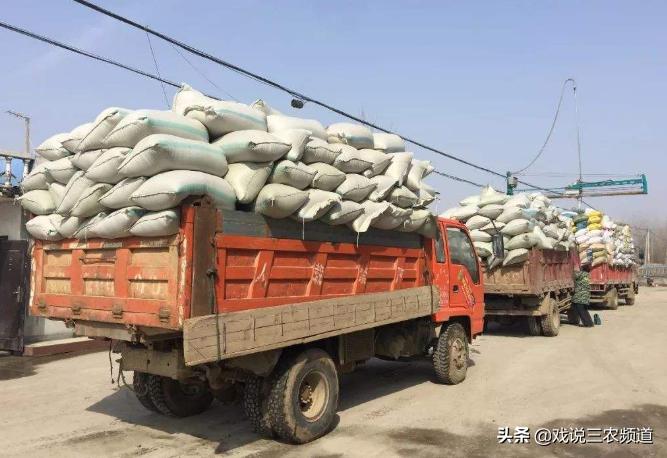 粮价上涨真的能改善农民收入吗,粮价上涨收粮食能赚钱么