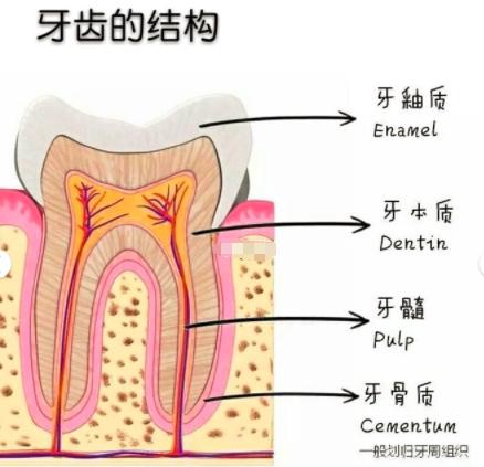 保护牙釉质的有效方法,医生建议如何护理牙齿