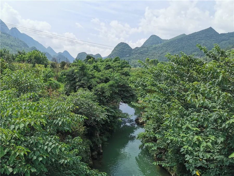 贵州兴义纳灰河生态长廊,兴义桃花源记