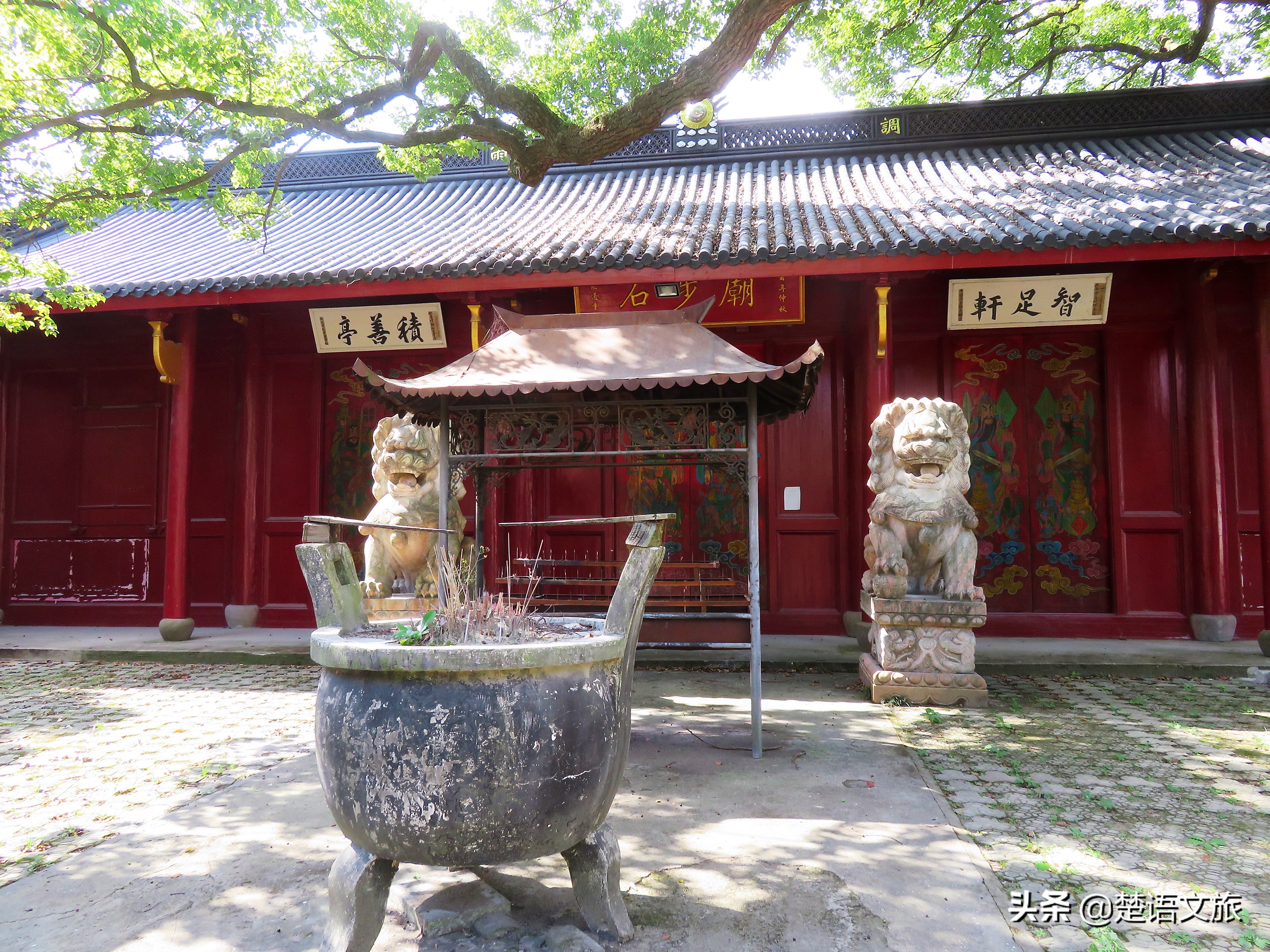 盛产杨梅而闻名的县是哪里,杨梅之乡余姚在什么省