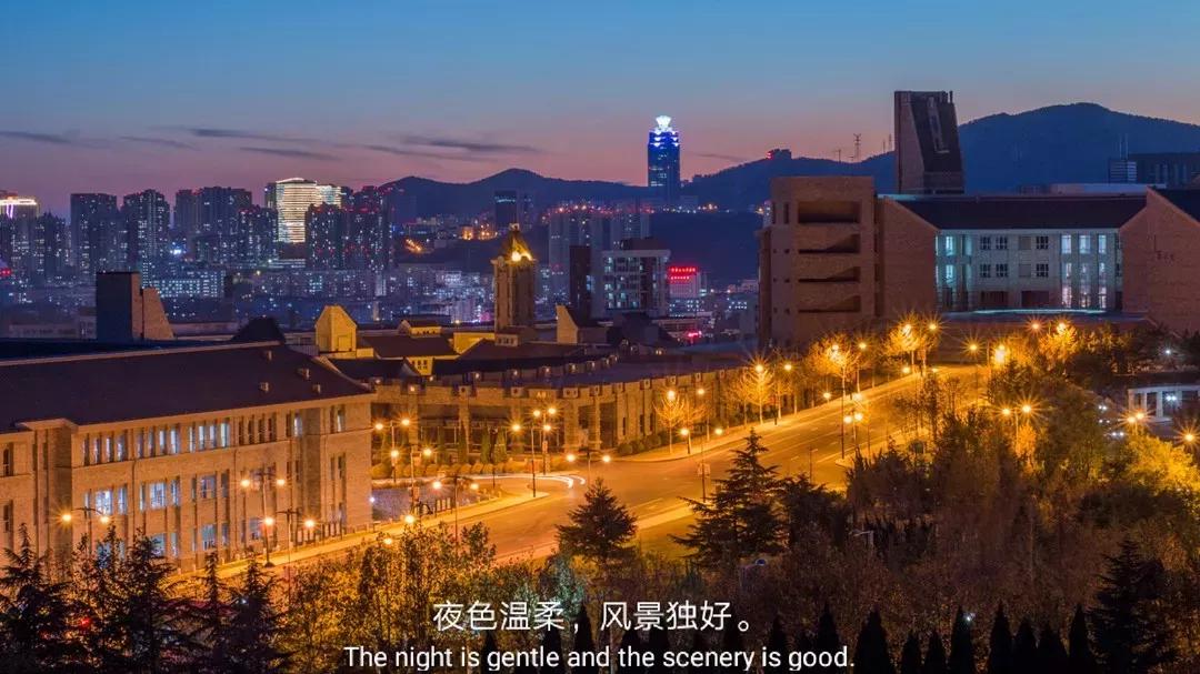 辽宁省民办大学（二）大连东软信息学院