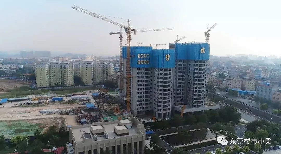 碧桂园常平玫瑰臻园别墅,东莞常平碧桂园玫瑰臻园