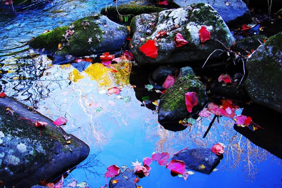 年平均气温25度左右的城市,年平均气温18度城市