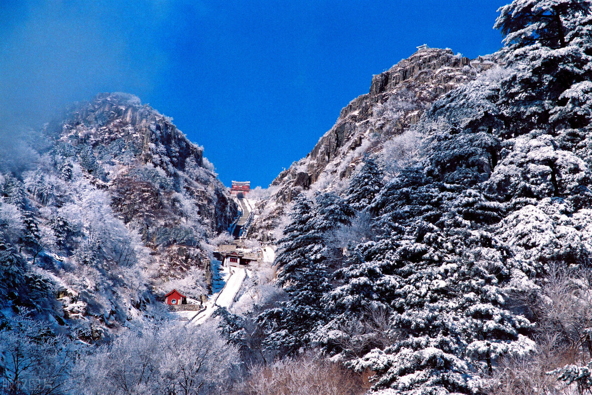 我,月入过万的保健品销售者,却因家庭重男轻女43岁才谈恋爱