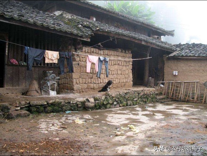 箭在弦上不得不发扮演者,箭在弦上不得不发指什么