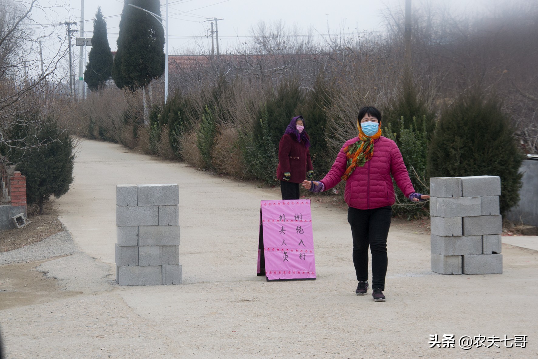 疫情期间苹果销路如何,疫情过后苹果怎么销售