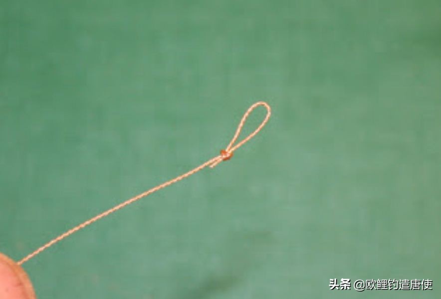 话说欧鲤钓诱饵篇,枯叶钓组和线辫钓组区别