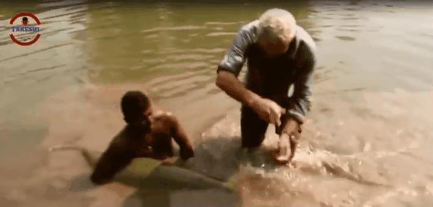 亚马逊河食人鱼多可怕,亚马逊河食人鲶被吊起来