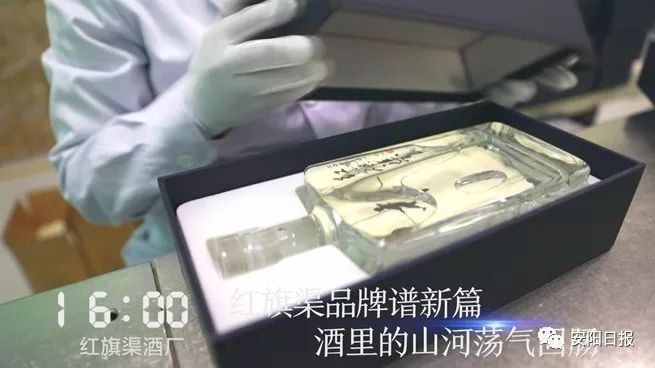 近几天林州发生的新闻,林州这几天发生的事