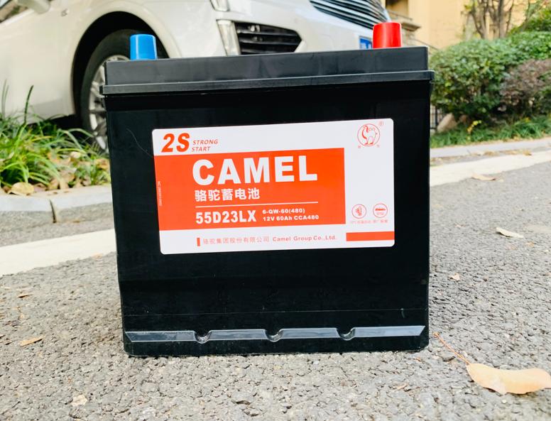 骆驼汽车蓄电池怎么维护,骆驼货车电瓶怎么保养