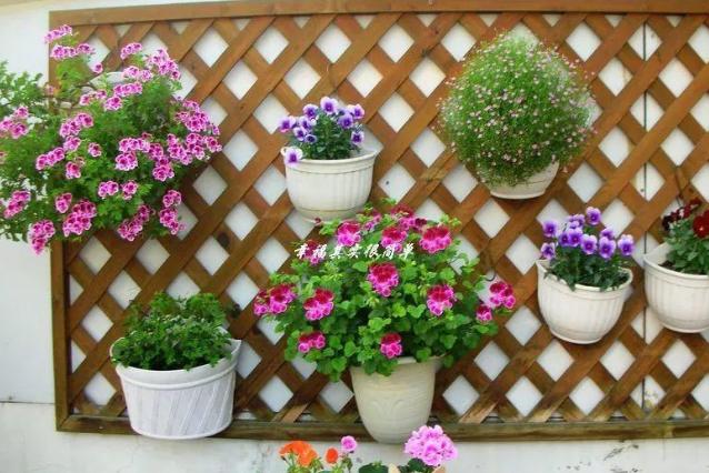 阳台窗台盆栽,阳台矮窗台处理最佳方法